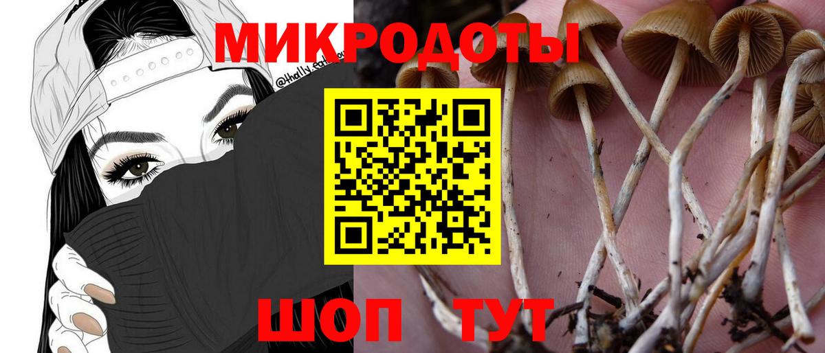 Галлюциногенные грибы ЛСД  Псилоцибиновые грибы Psilocybe  Сафоново  Вход с VPN 